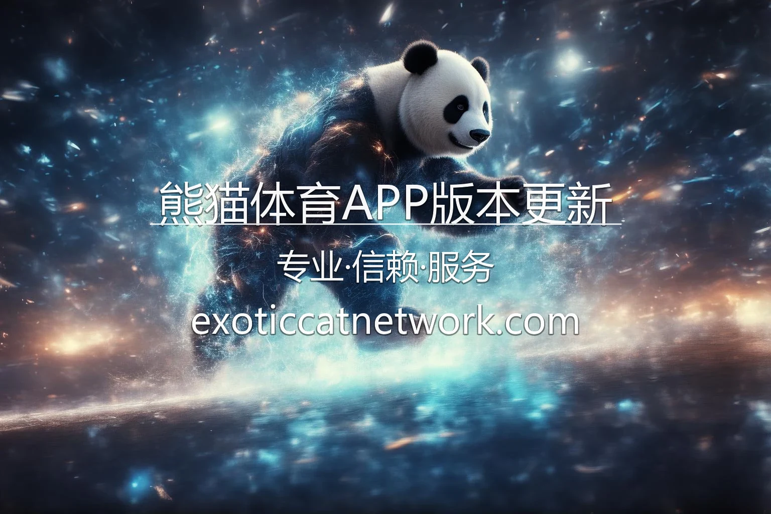 熊猫体育APP版本更新